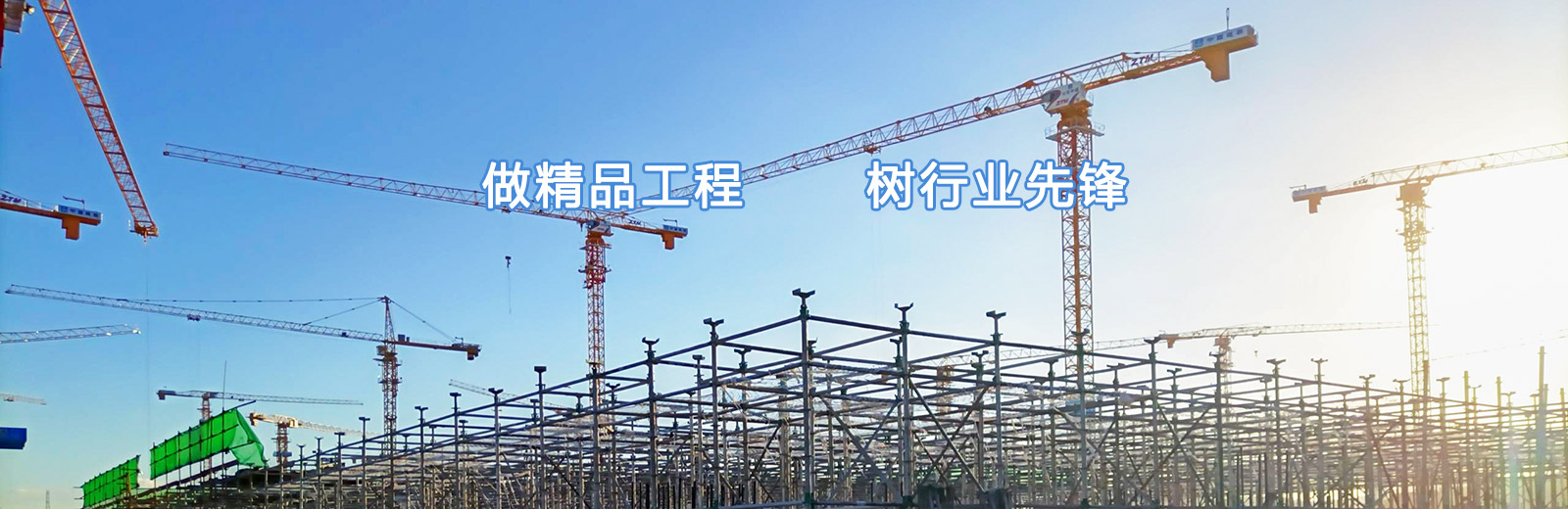 做精品工程树行业先锋